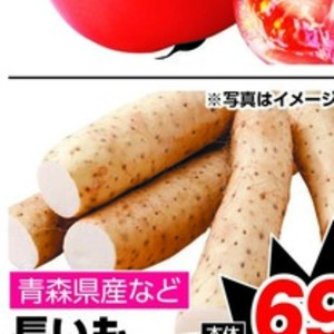 ながいも