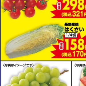 はくさい