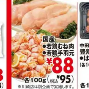 鶏手羽元