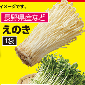 えのき茸