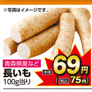 ながいも