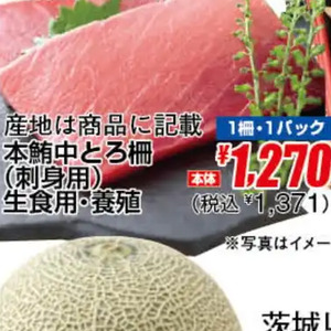 まぐろ中とろ