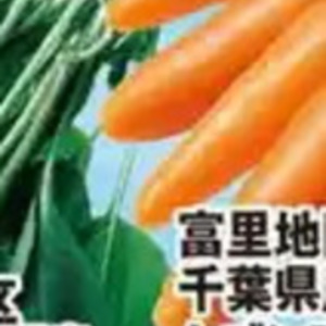 にんじん