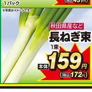 ながねぎ