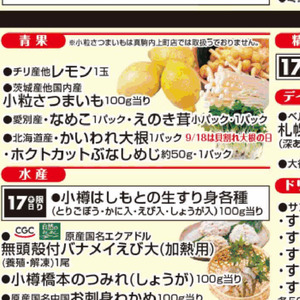 カイワレ大根