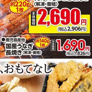 うなぎの蒲焼き