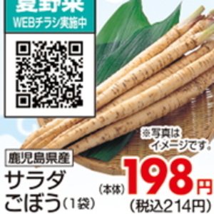 ごぼう