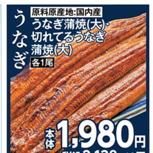 うなぎの蒲焼き