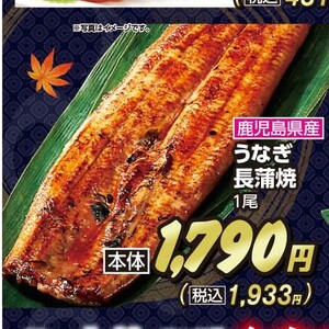 うなぎの蒲焼き