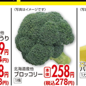 ブロッコリー