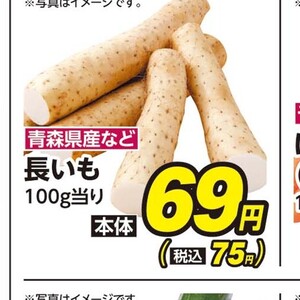 ごぼう