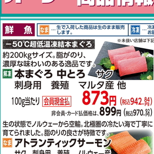 まぐろ中とろ