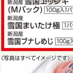 しめじ