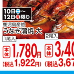 ながいも