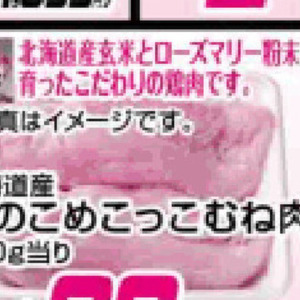 豚モツ