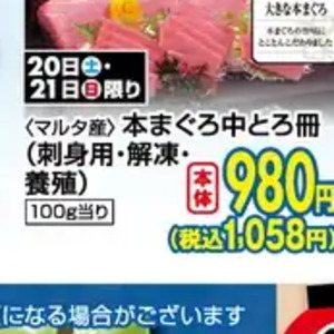 まぐろ中とろ