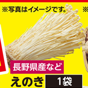 えのき茸