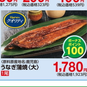 うなぎの蒲焼き