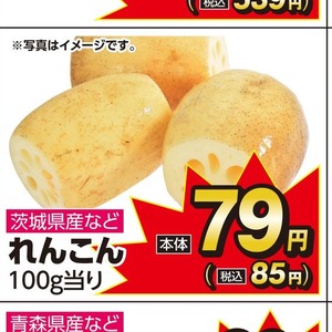 レンコン