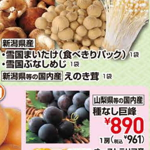 えのき茸
