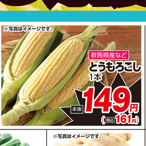 とうもろこし