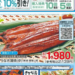 うなぎの蒲焼き