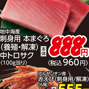 まぐろ中とろ