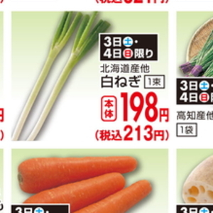 ながねぎ
