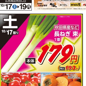 ながねぎ