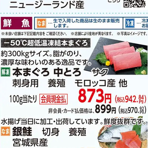 まぐろ中とろ