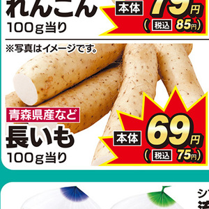 ながいも