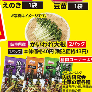 カイワレ大根