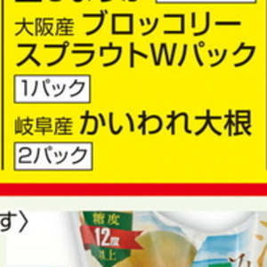 カイワレ大根