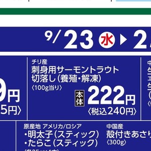 サーモン（刺身）