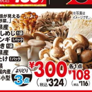 しいたけ