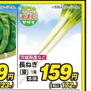 ながねぎ