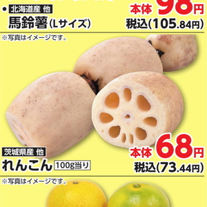 レンコン