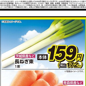 ながねぎ