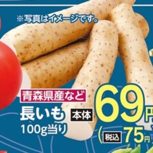 ながいも
