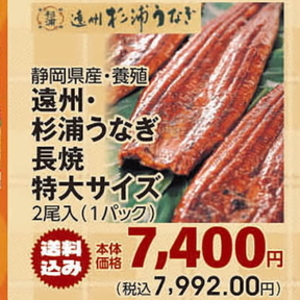 うなぎの蒲焼き