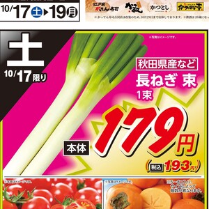 ながねぎ