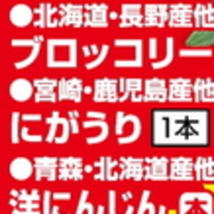 ゴーヤ