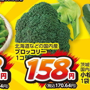 ブロッコリー