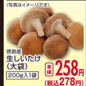 しいたけ