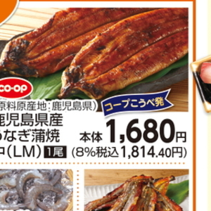 うなぎの蒲焼き