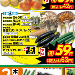 きゅうり