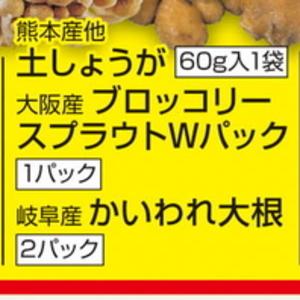 ブロッコリースプラウト