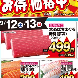 まぐろ赤身