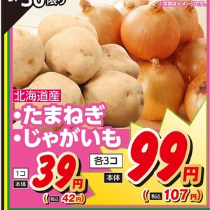 たまねぎ