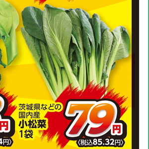 こまつ菜